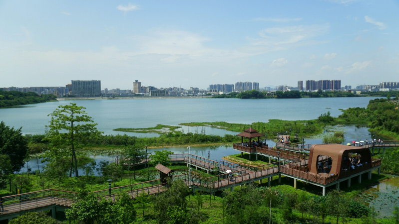 盤(pán)點(diǎn)深圳十大最美公園，你最?lèi)?ài)的是哪個(gè)公園？